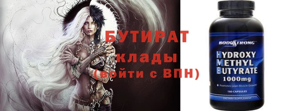 молекула духа Вяземский