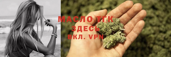 молекула духа Вяземский
