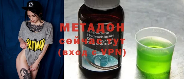 молекула духа Вяземский