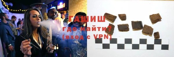 молекула духа Вяземский
