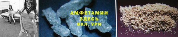 молекула духа Вяземский
