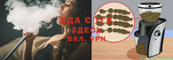 молекула духа Вяземский