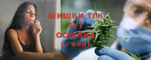 молекула духа Вяземский