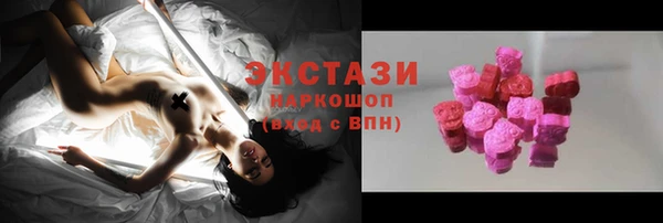 молекула духа Вяземский