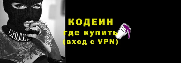 молекула духа Вяземский