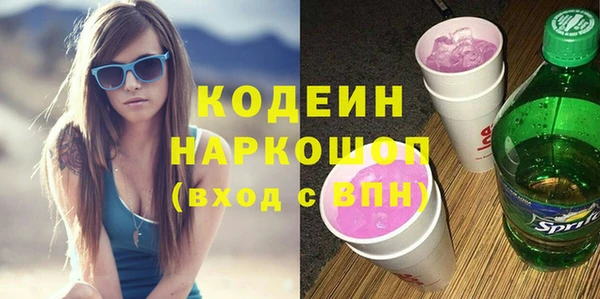 молекула духа Вяземский