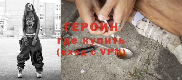 молекула духа Вяземский