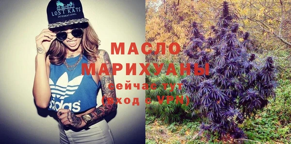 молекула духа Вяземский