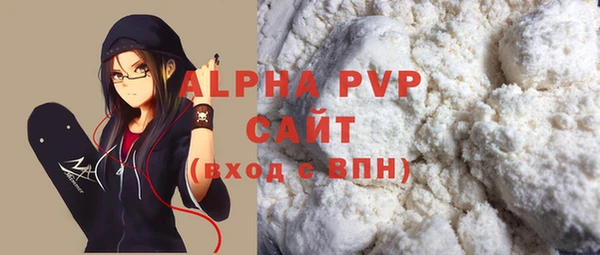молекула духа Вяземский